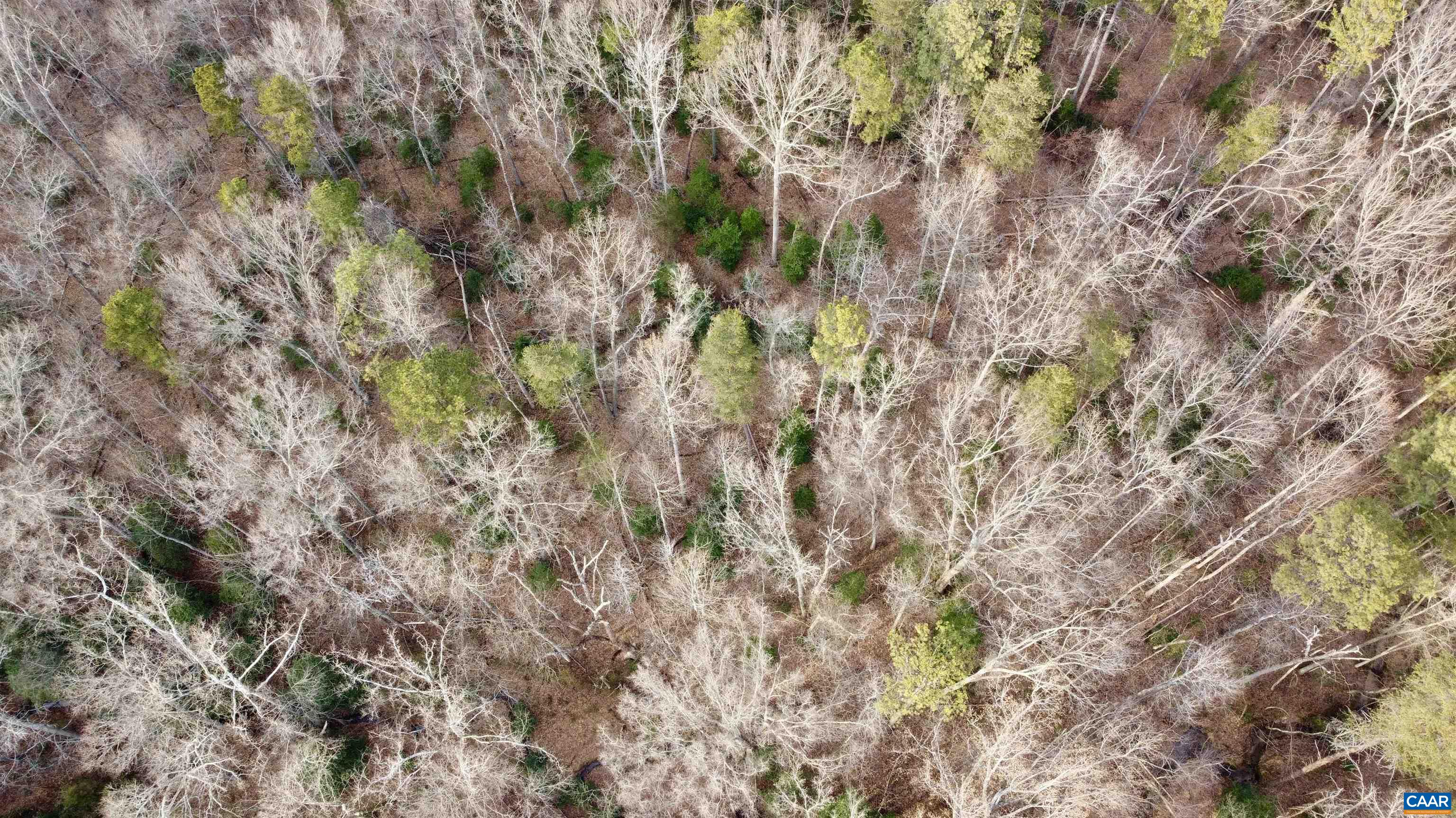 20602 Beaver Dam Road Beaverdam, VA 23015 - Photo 10 of 24