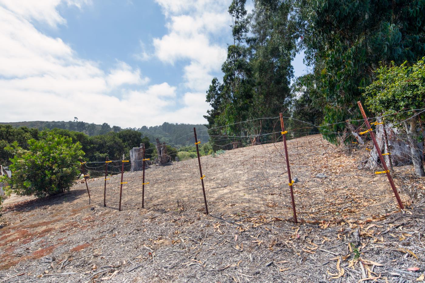7600 Pine Tree Way Salinas, CA 93907 - Photo 13 of 43 a view of a backyard