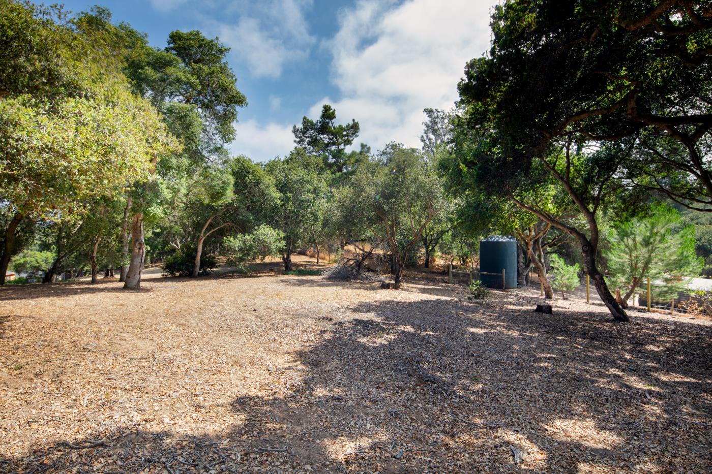 7600 Pine Tree Way Salinas, CA 93907 - Photo 23 of 43 a view of a tree in the middle of a yard