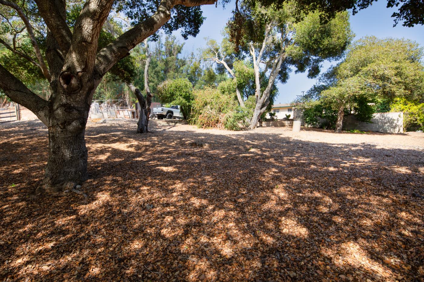 7600 Pine Tree Way Salinas, CA 93907 - Photo 24 of 43 a view of road and trees