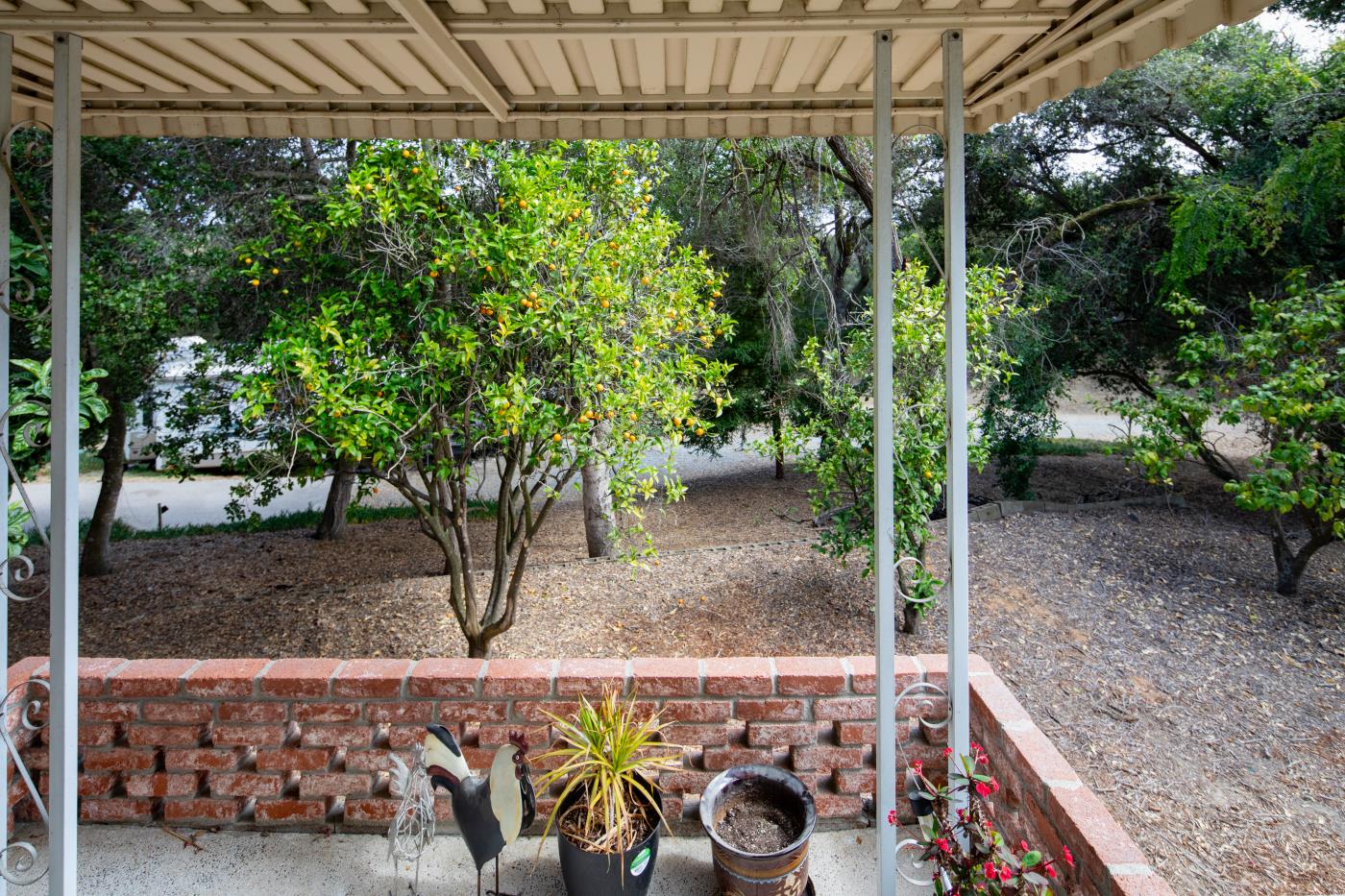 7600 Pine Tree Way Salinas, CA 93907 - Photo 35 of 43 a view of a backyard with plants