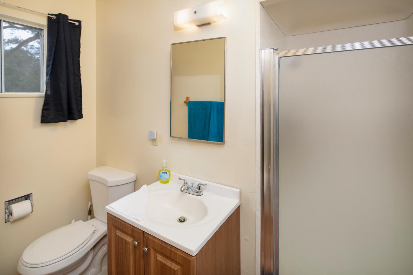 7600 Pine Tree Way Salinas, CA 93907 - Photo 39 of 43 a bathroom with a sink toilet and mirror