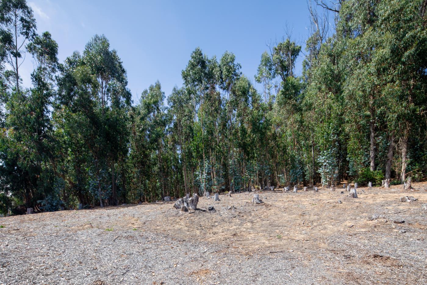 7600 Pine Tree Way Salinas, CA 93907 - Photo 4 of 43 a view of a covered with snow in the background