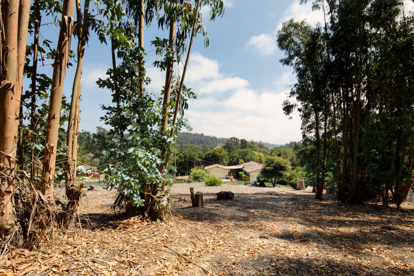 7600 Pine Tree Way Salinas, CA 93907 - Photo 6 of 43 a view of a backyard with table and chairs and a fire pit