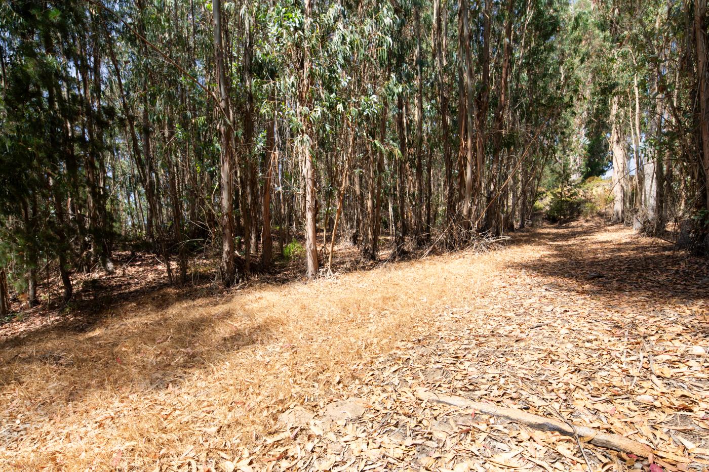 7600 Pine Tree Way Salinas, CA 93907 - Photo 10 of 43 a view of covered with snow