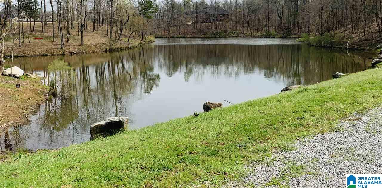 209 West Trestle Way Helena, AL 35080 - Photo 48 of 50