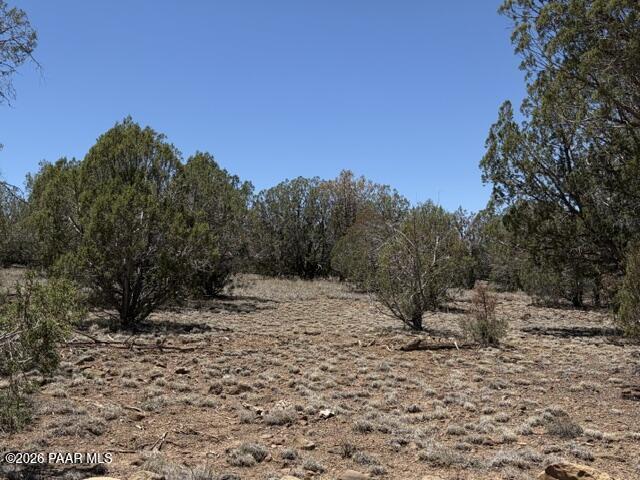356 A Sierra Verde Ranch Seligman, AZ 86337 - Photo 4 of 8 a view of a yard with a tree