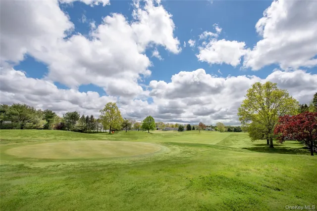 a view of a big yard with big trees