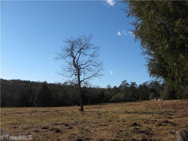 0 Rhodes Road Eden, NC 27288 - Photo 1 of 4 Land.
