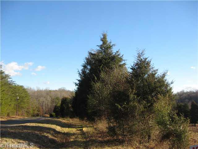 0 Rhodes Road Eden, NC 27288 - Photo 3 of 4 Land.