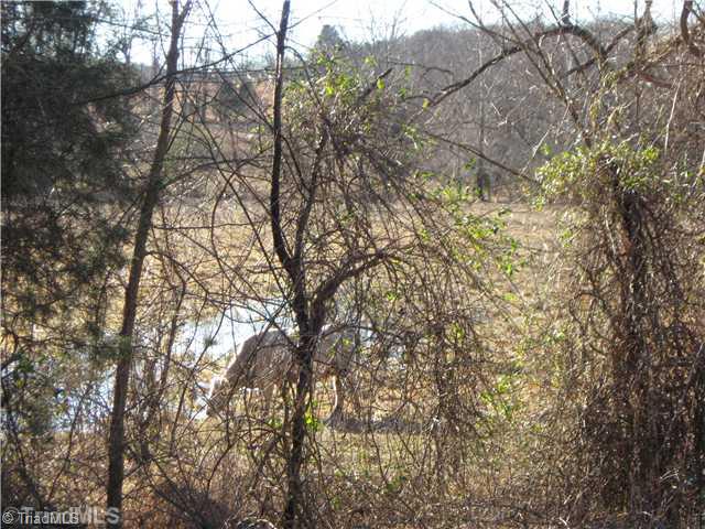0 Rhodes Road Eden, NC 27288 - Photo 4 of 4 Land/Lot.