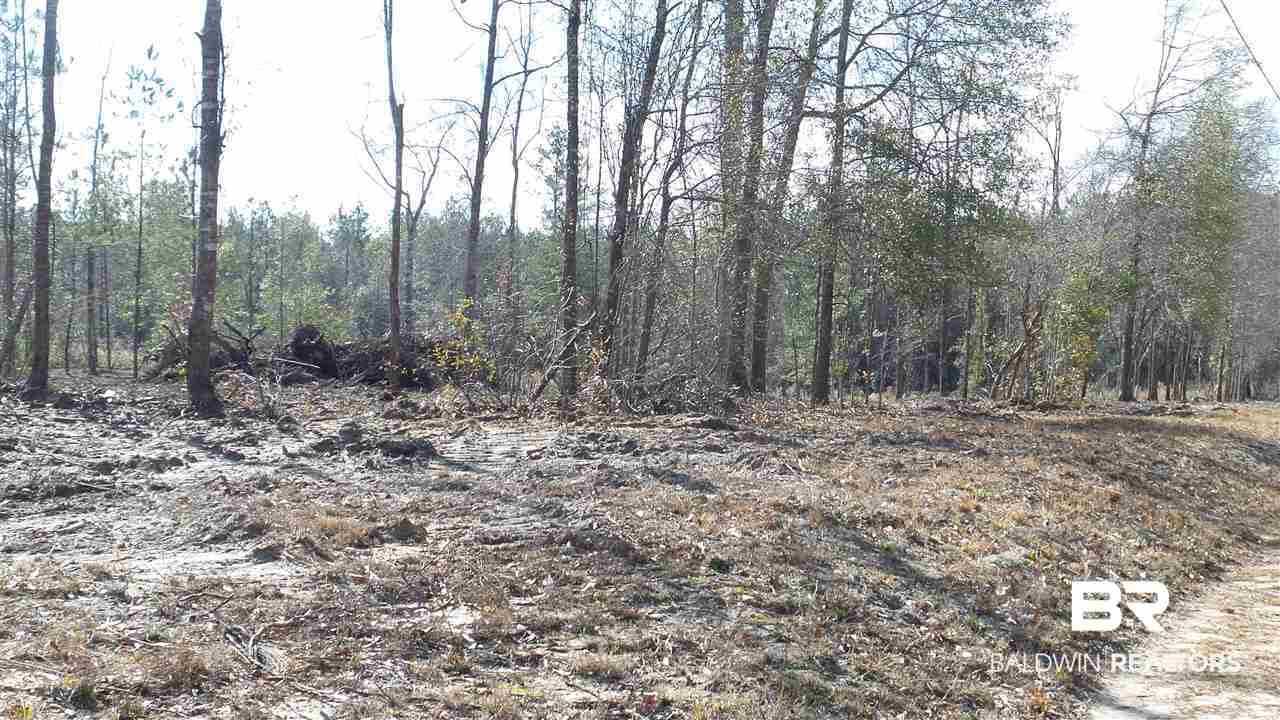 5-6 Dixon Nursery Road Brewton, AL 36426 - Photo 15 of 21