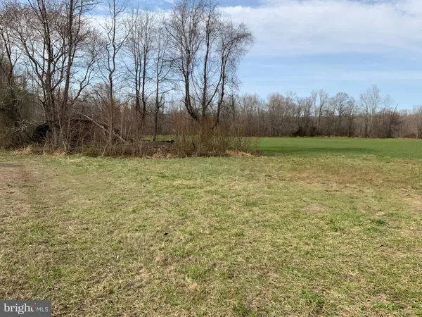 a view of a yard