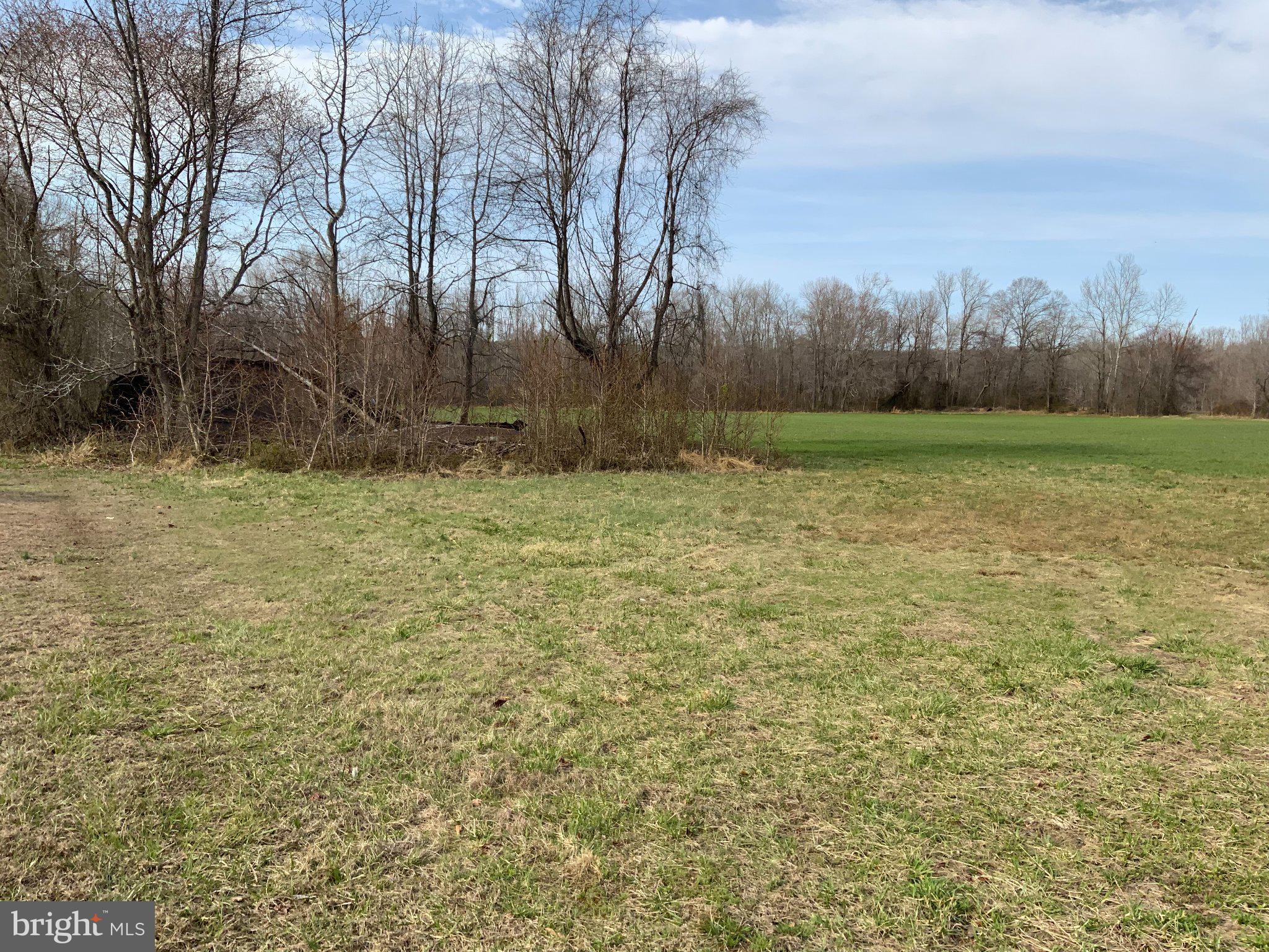 8770 Bensville Road Waldorf, MD 20603 - Photo 1 of 1 a view of a yard