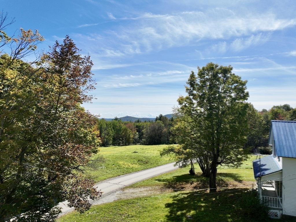 146 Potter Road Rowe, MA 01367 - Photo 38 of 40 a view of a garden with an outdoor space