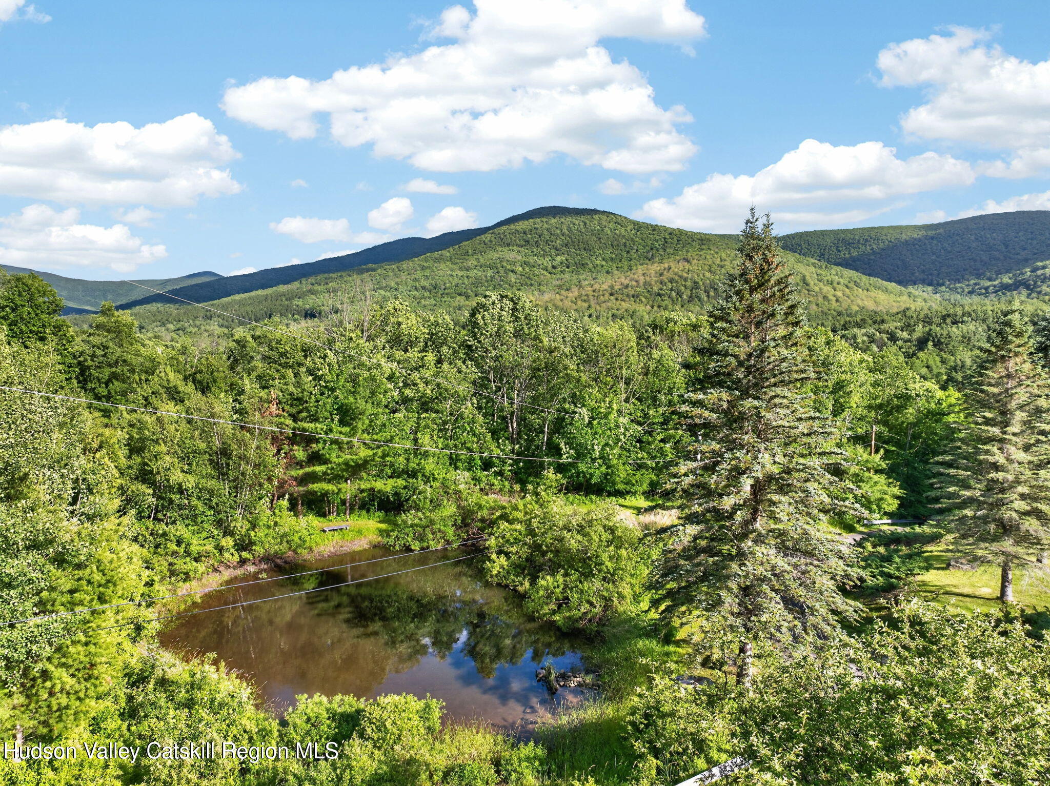 1747 Spruceton Road West Kill, NY 12492 - Photo 91 of 103 99-web-or-mls-1747-spruceton-rd