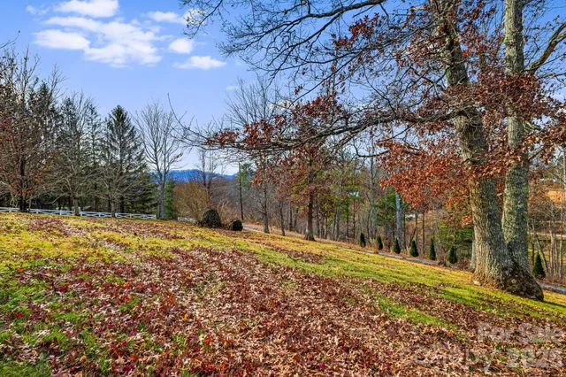 a backyard of a house with large trees