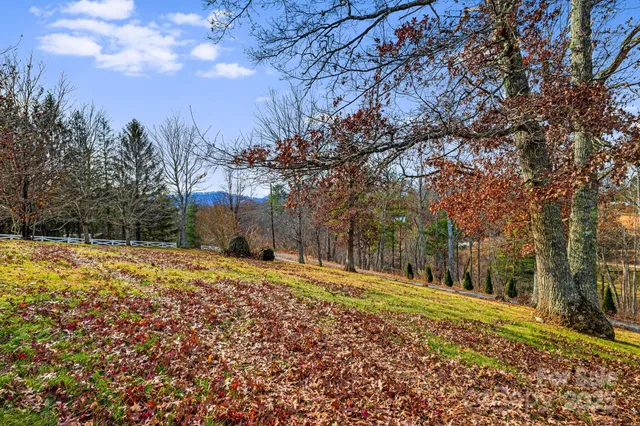 a backyard of a house with large trees