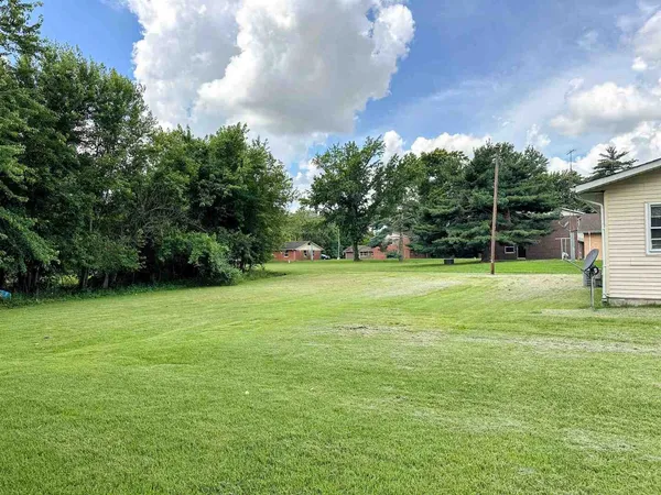 a view of a field with a tree