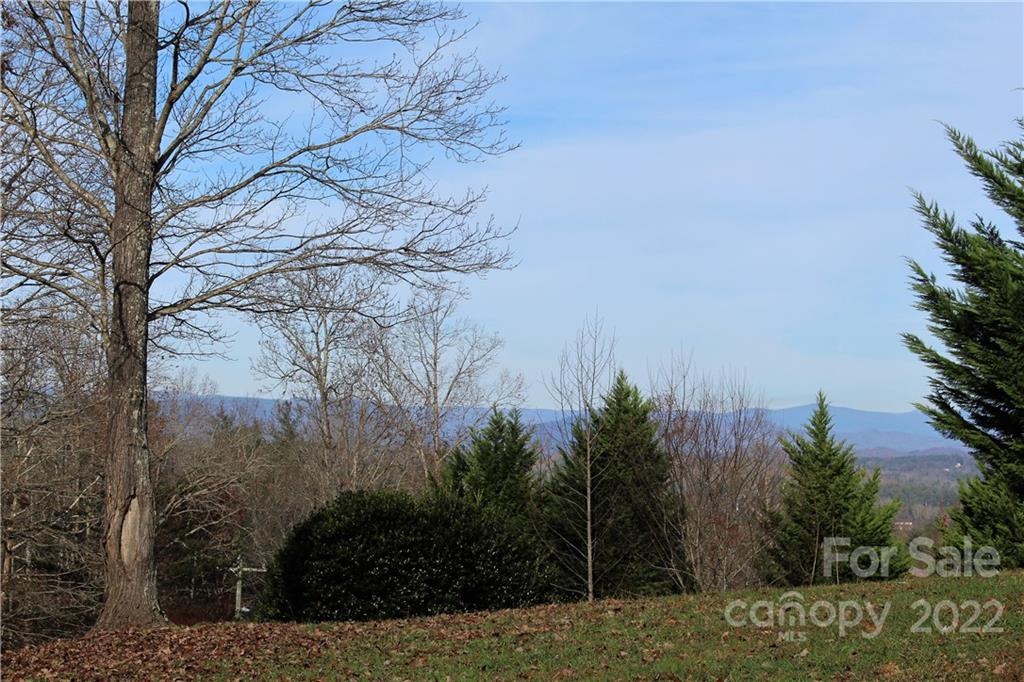 3948 Calico Road Lenoir, NC 28645 - Photo 3 of 23 Gallery Image 3