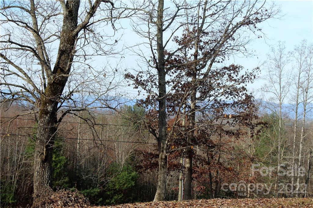 3948 Calico Road Lenoir, NC 28645 - Photo 5 of 23 Gallery Image 5