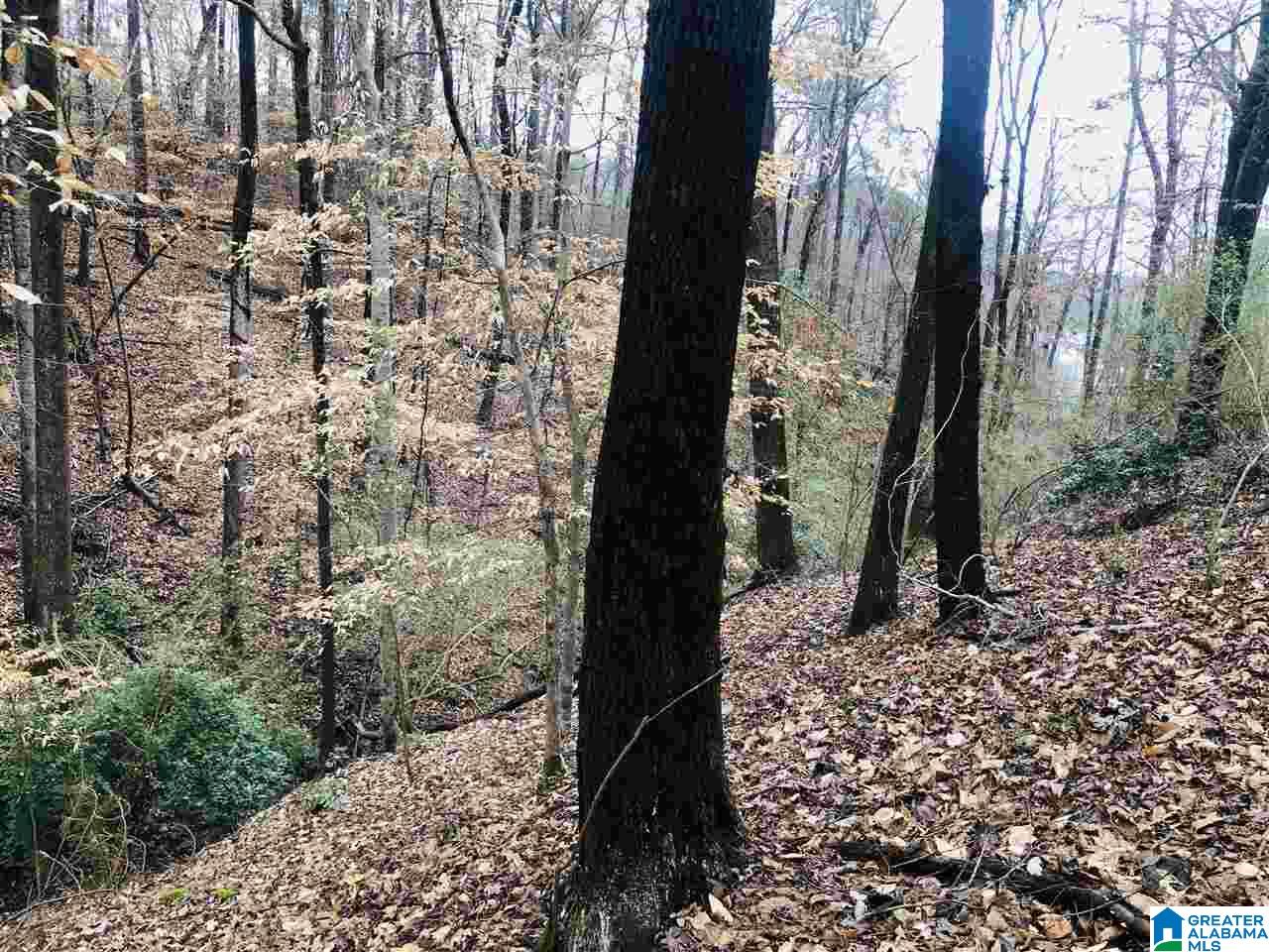 0 Sharpes Lake Road, Unit 2 Northport, AL 35473 - Photo 8 of 8