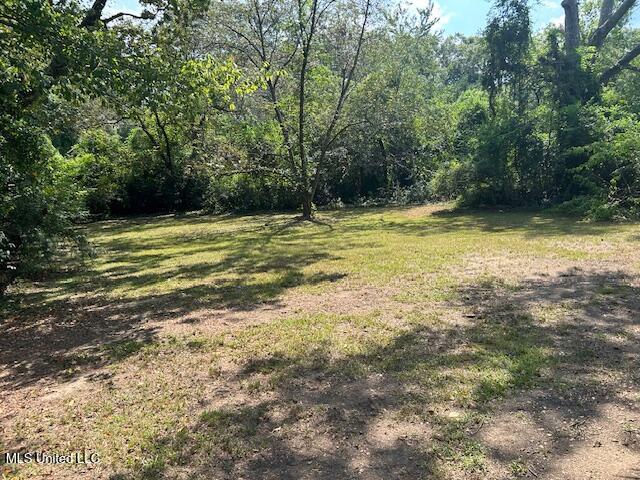 923 Bendat Street McComb, MS 39648 - Photo 3 of 17 IMG_1436