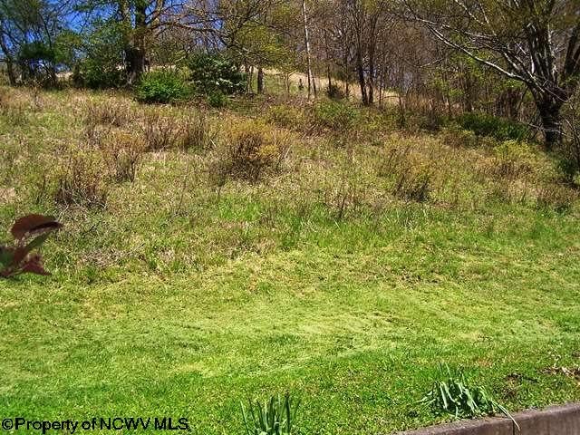 632 Long Run Road Fairmont, WV 26554 - Photo 3 of 15 Gallery Image 3