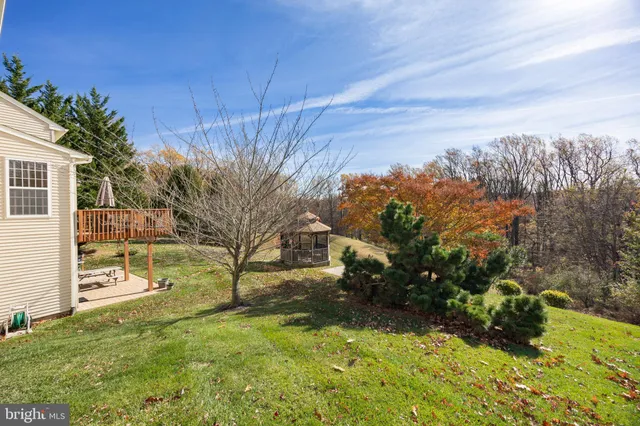 a view of a yard with plants and a bench
