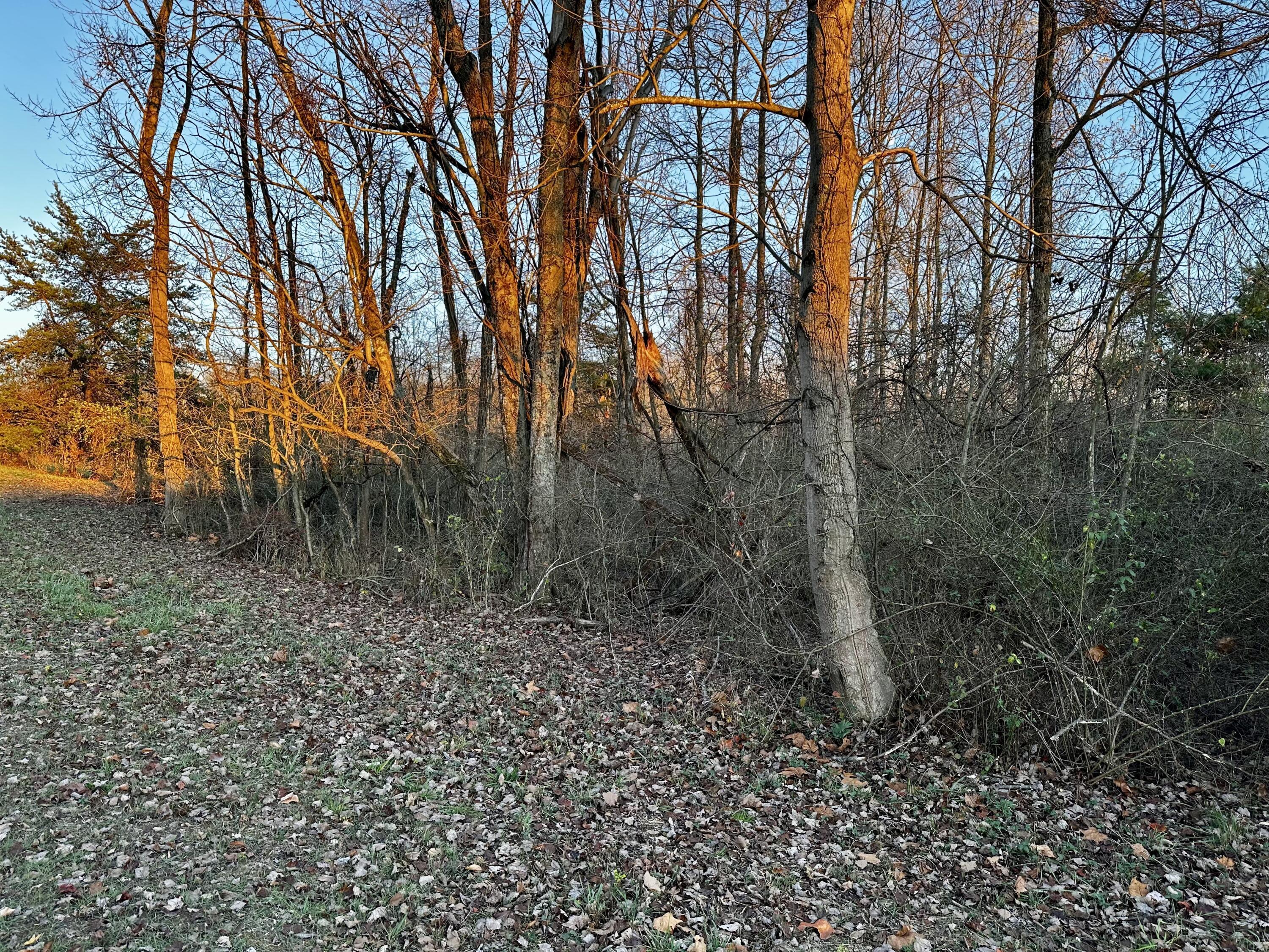 7408 Dutch Ridge Road, Unit TRACT 3 AT DUTCH RIDGE) New Straitsville, OH 43766 - Photo 23 of 29 20241111_220134895_iOS