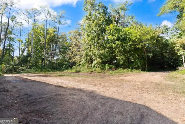 a view of a yard with a tree