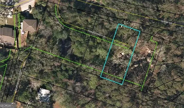 $670,000 | 108 Rosa Dorsey Lane, St. Simons Island, GA 31522