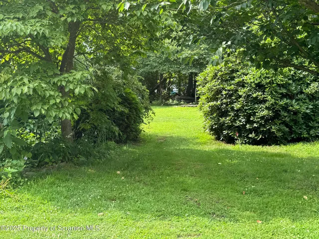 a view of a trees with a yard