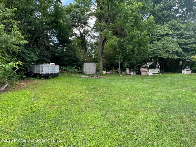 a view of a park with large trees