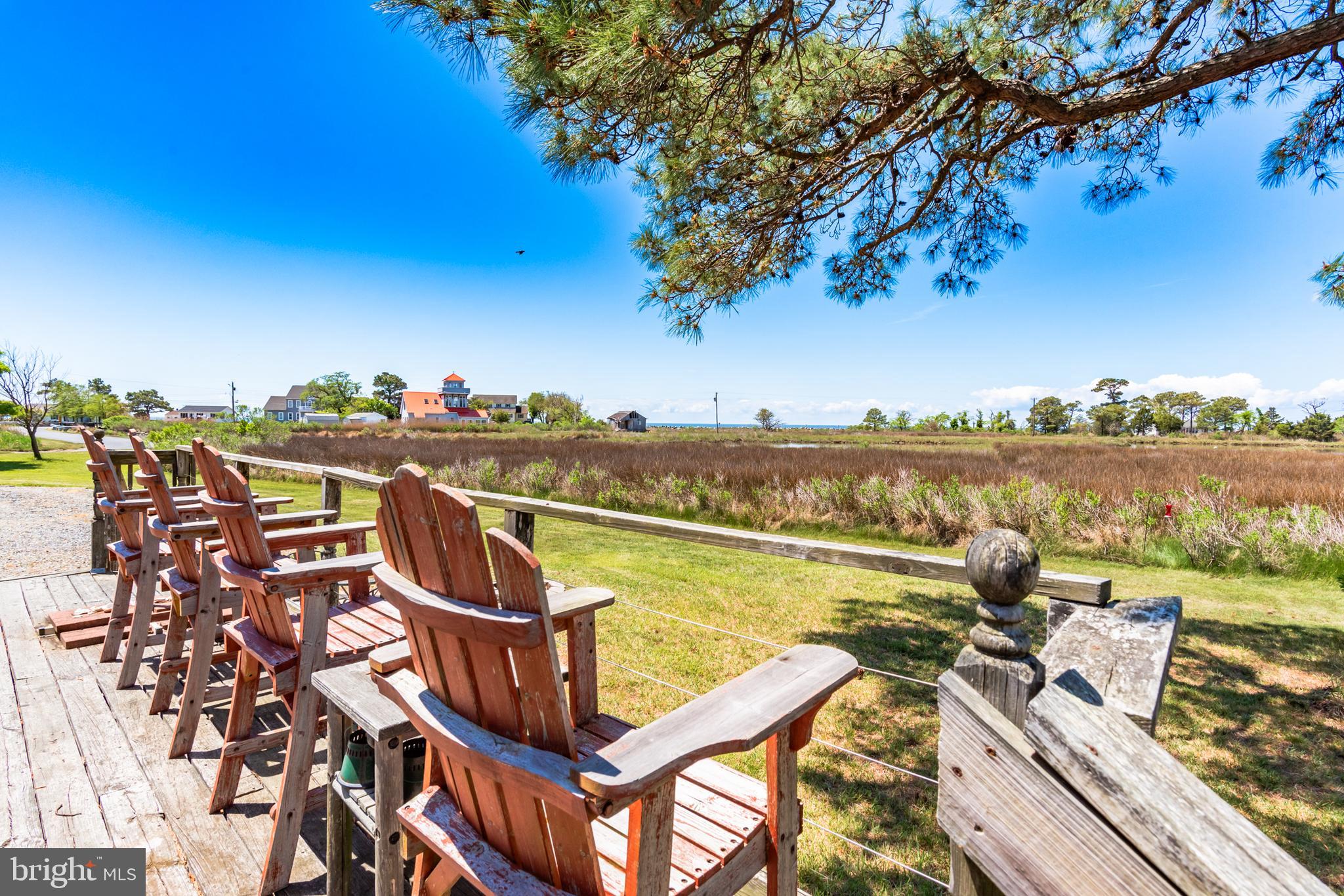 23212 Haines Point Road Chance, MD 21821 - Photo 12 of 57 Front deck overlooking Haines Pond