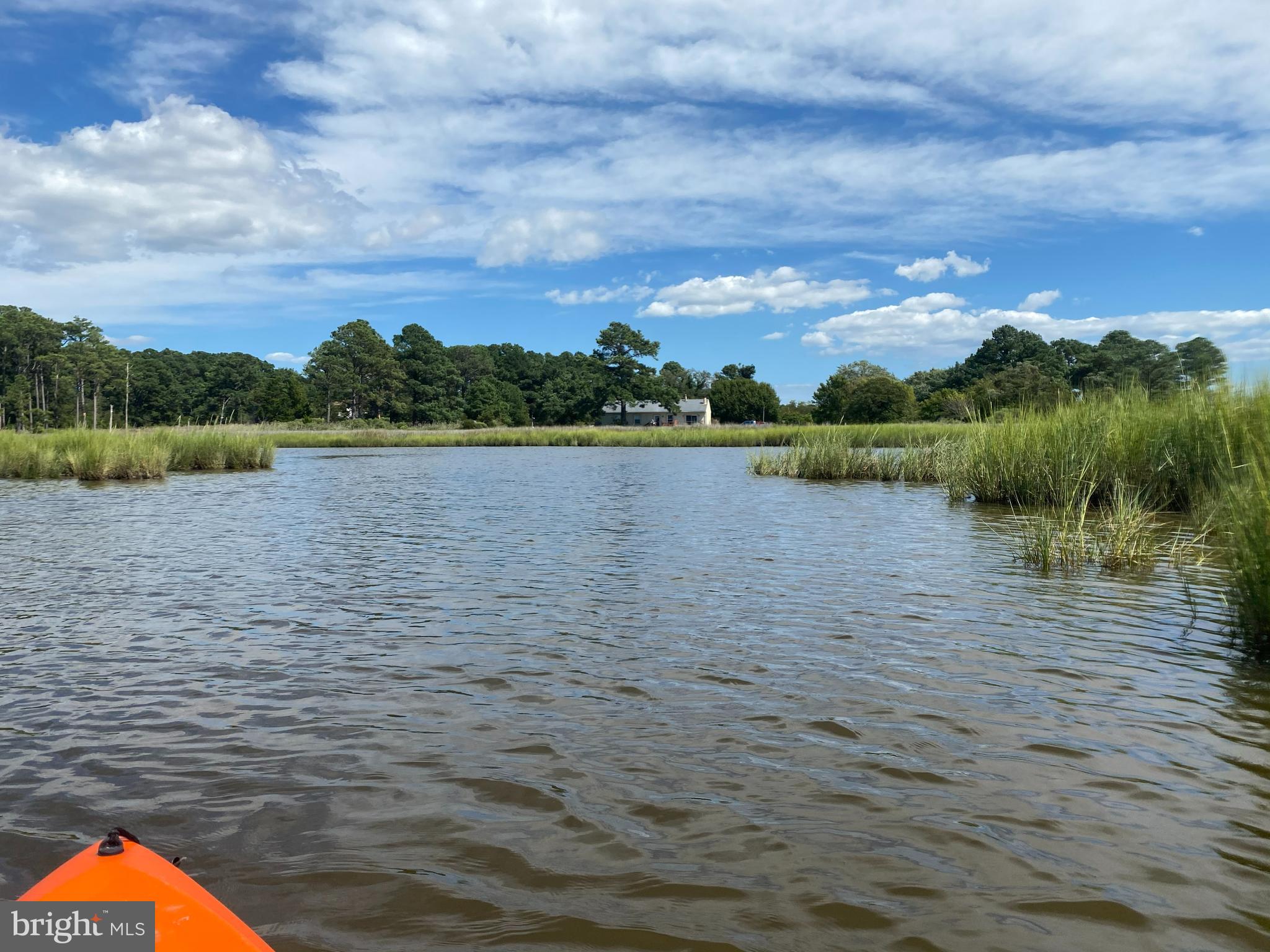 23212 Haines Point Road Chance, MD 21821 - Photo 15 of 57 Kayaking on Haines Pond looking at the property