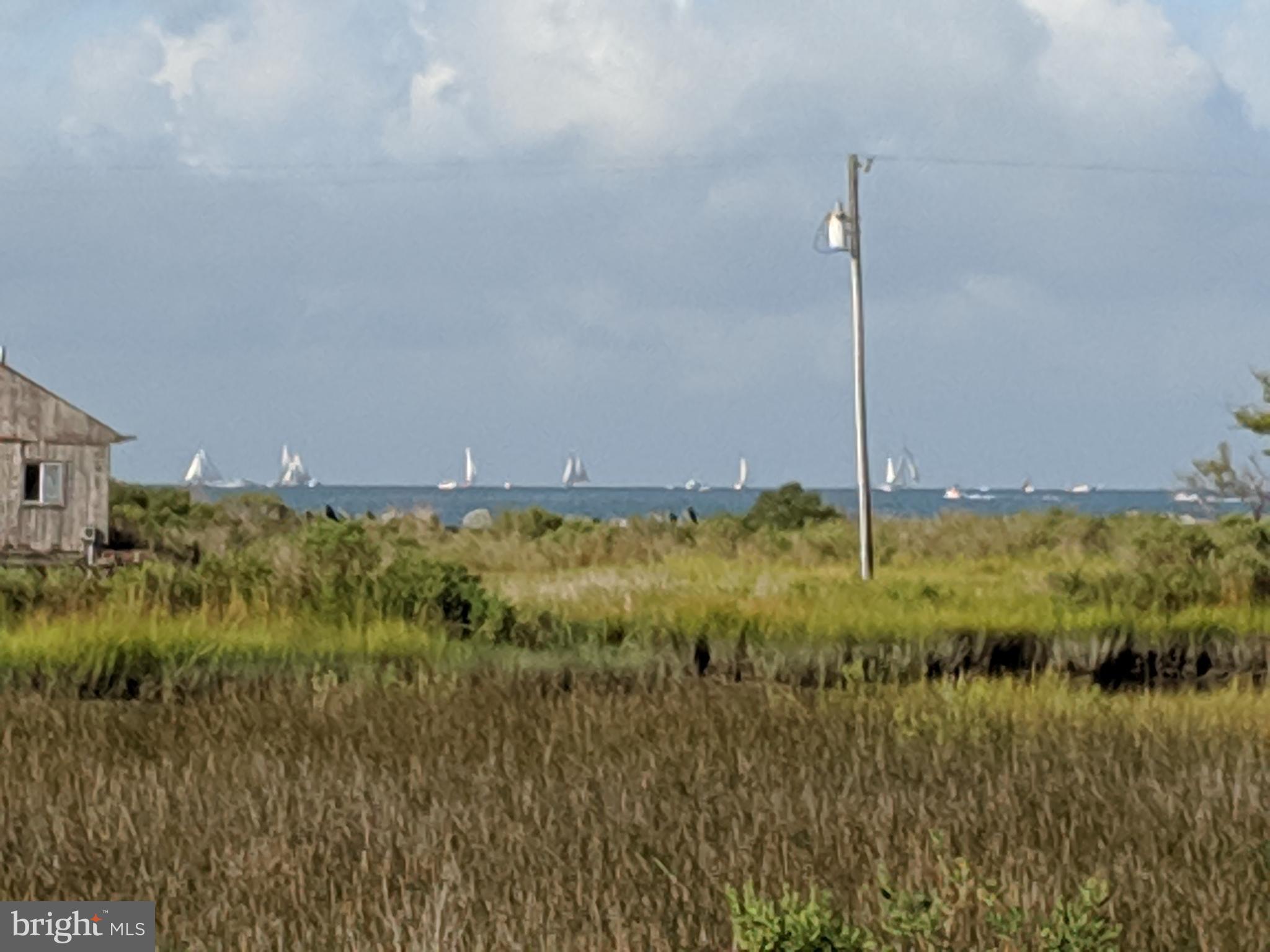 23212 Haines Point Road Chance, MD 21821 - Photo 16 of 57 Skipjack Races