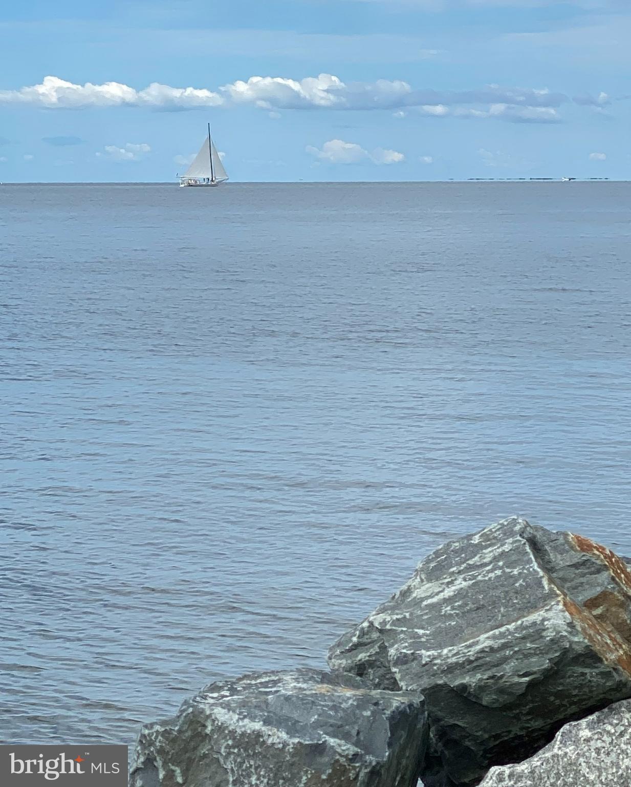 23212 Haines Point Road Chance, MD 21821 - Photo 17 of 57 Skipjacks