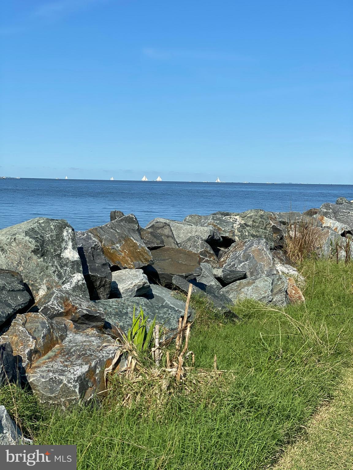 23212 Haines Point Road Chance, MD 21821 - Photo 18 of 57 Skipjacks view from street