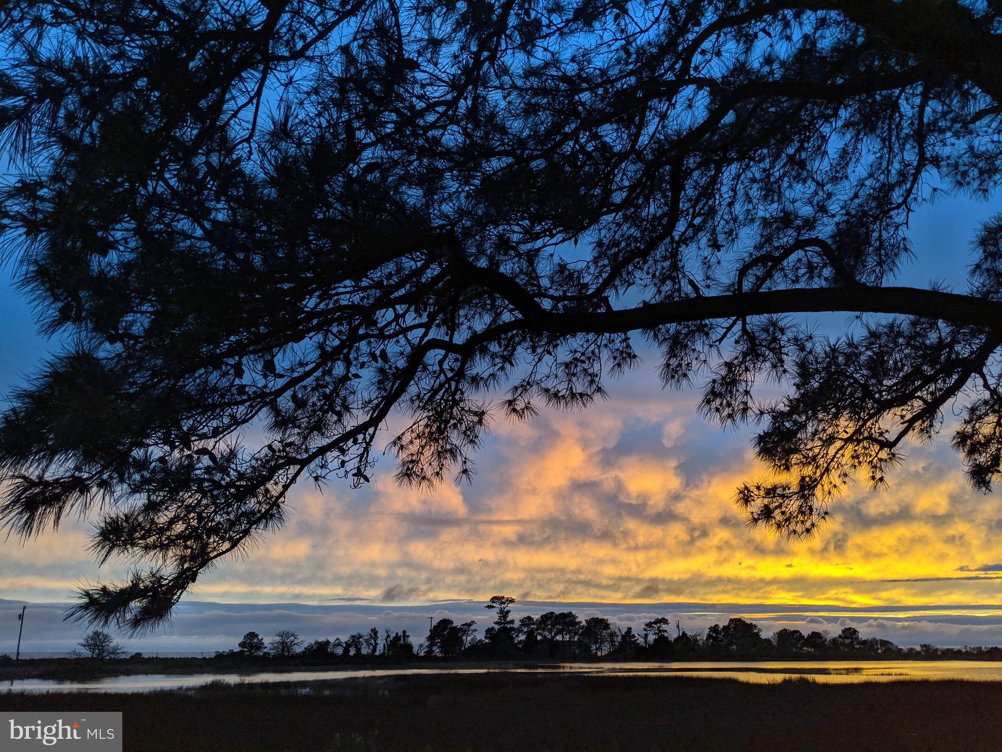 23212 Haines Point Road Chance, MD 21821 - Photo 20 of 57 Sunset views
