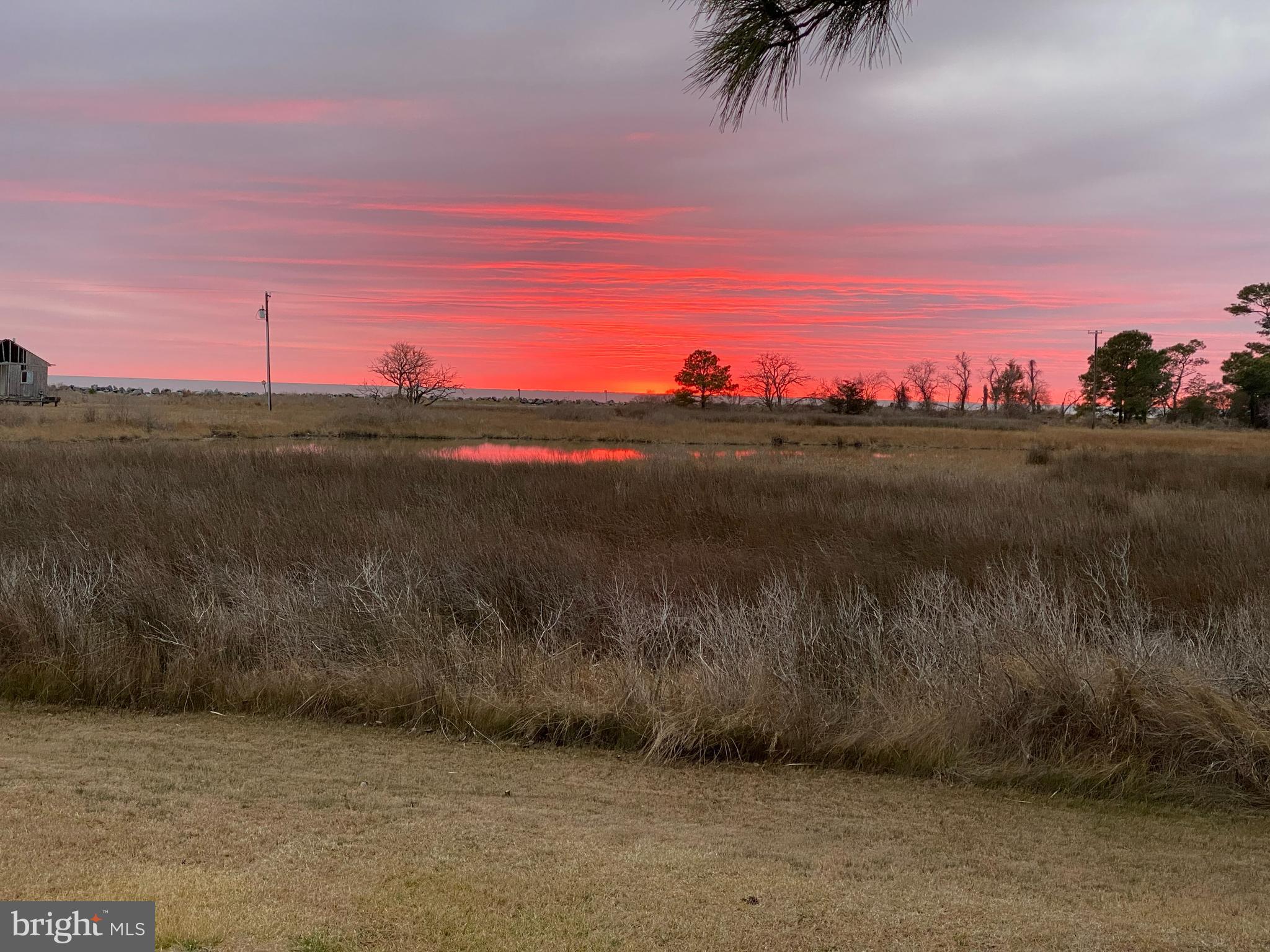 23212 Haines Point Road Chance, MD 21821 - Photo 23 of 57