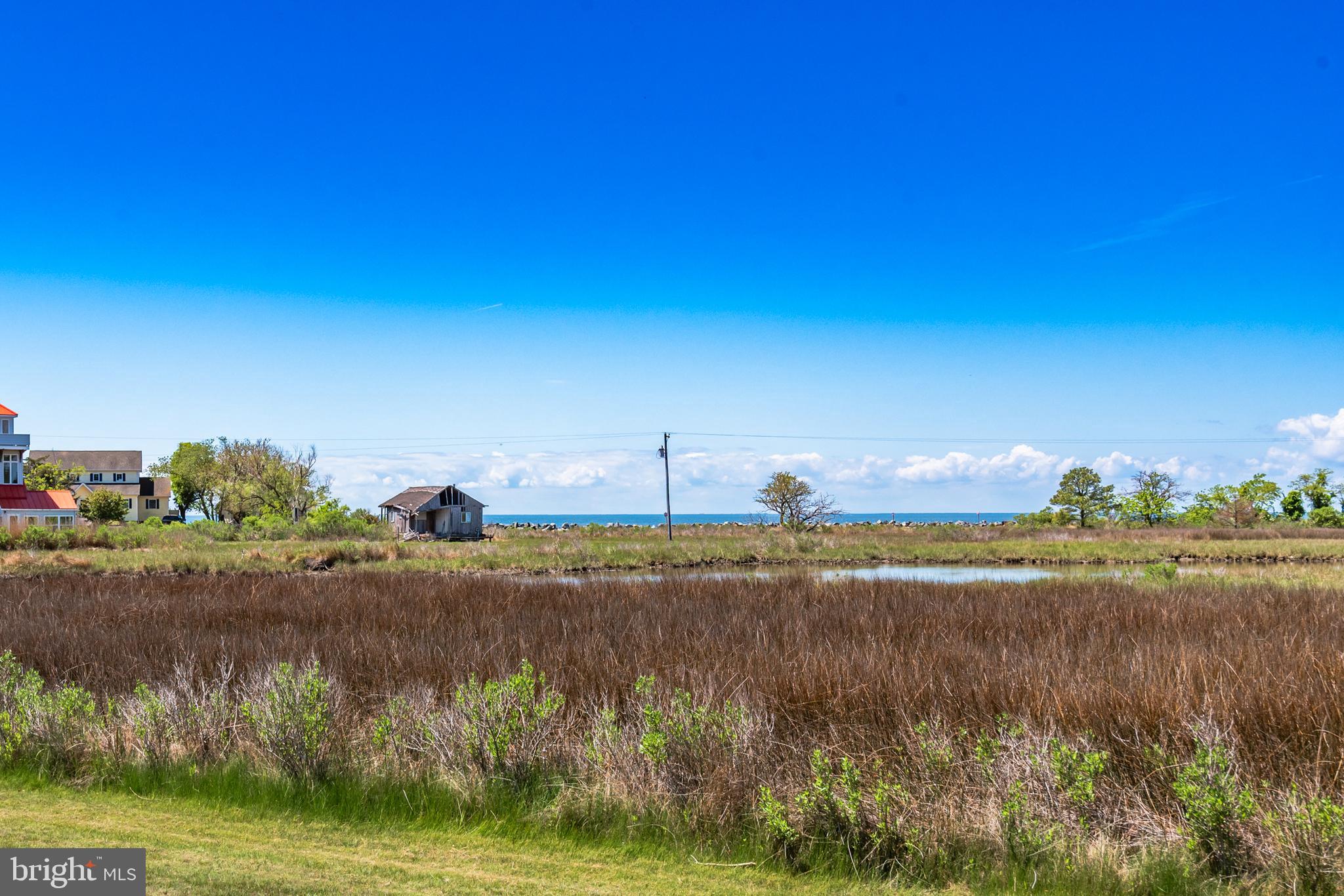 23212 Haines Point Road Chance, MD 21821 - Photo 3 of 57 Haines Pond view