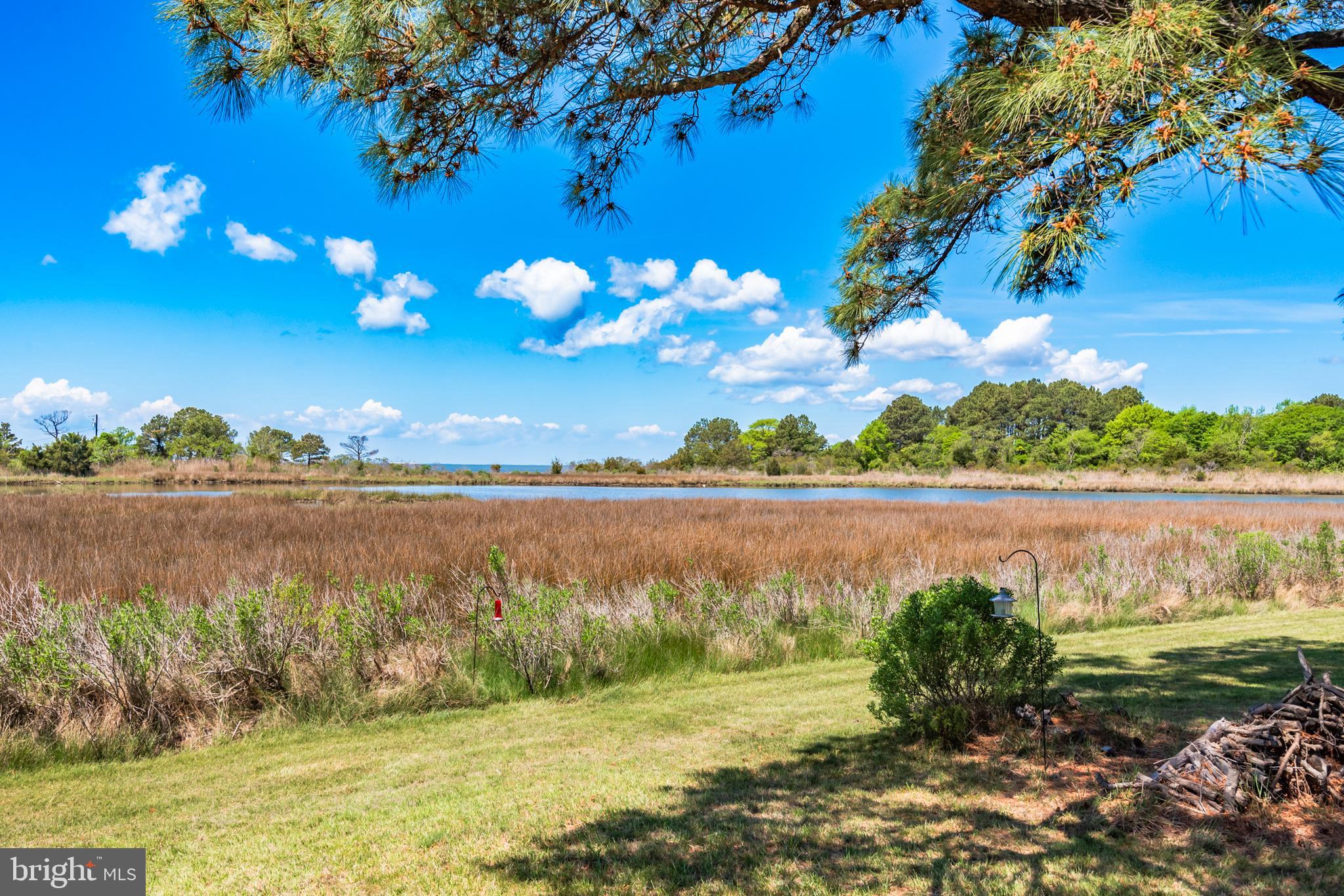 23212 Haines Point Road Chance, MD 21821 - Photo 4 of 57 Waterview
