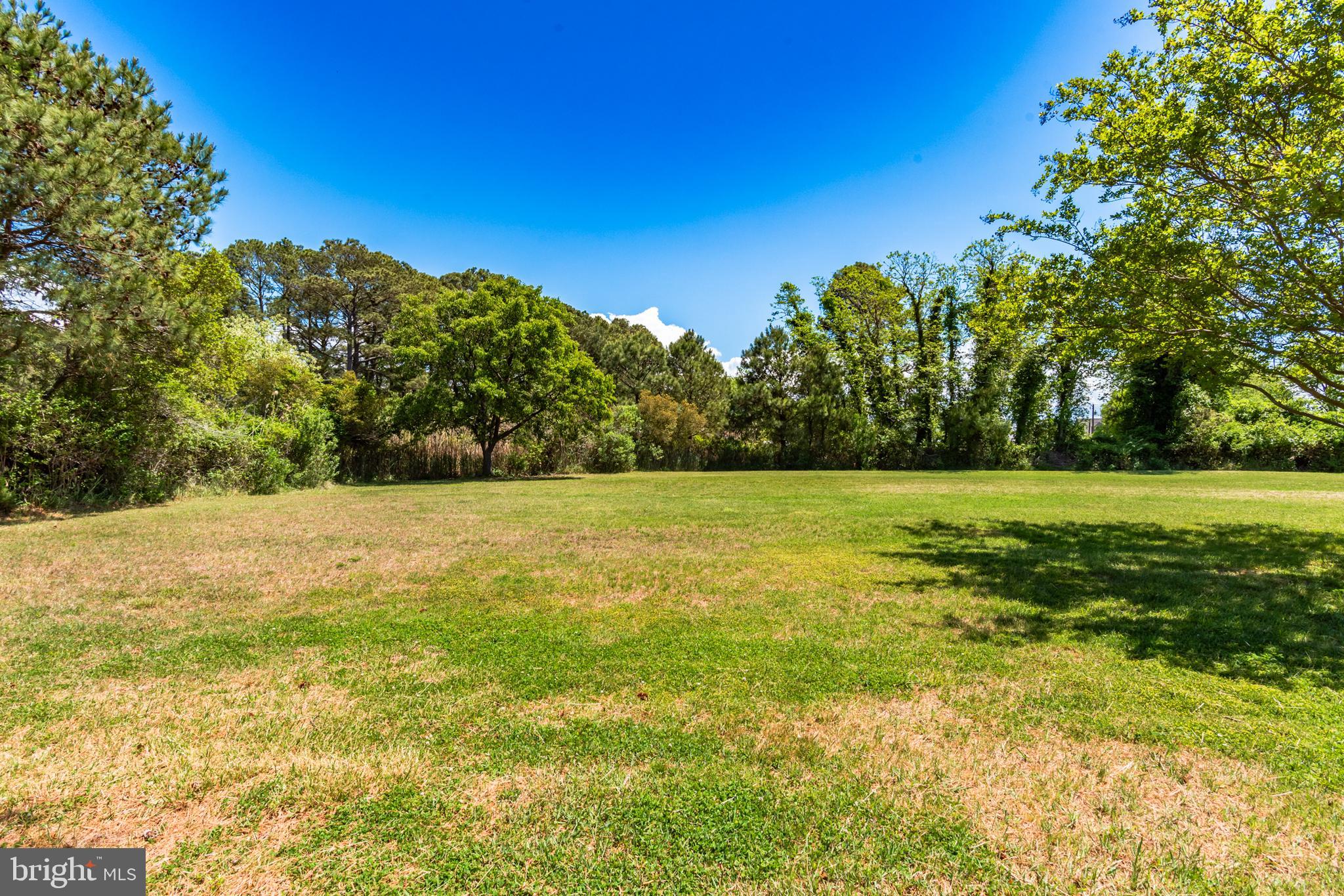 23212 Haines Point Road Chance, MD 21821 - Photo 43 of 57 Expansive yard