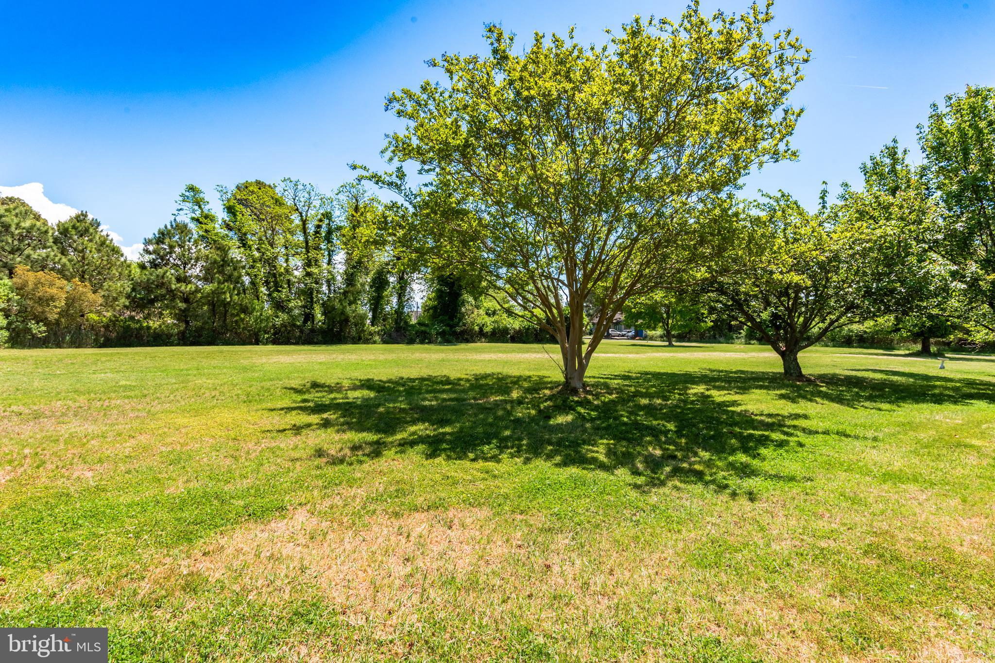 23212 Haines Point Road Chance, MD 21821 - Photo 44 of 57 Yard
