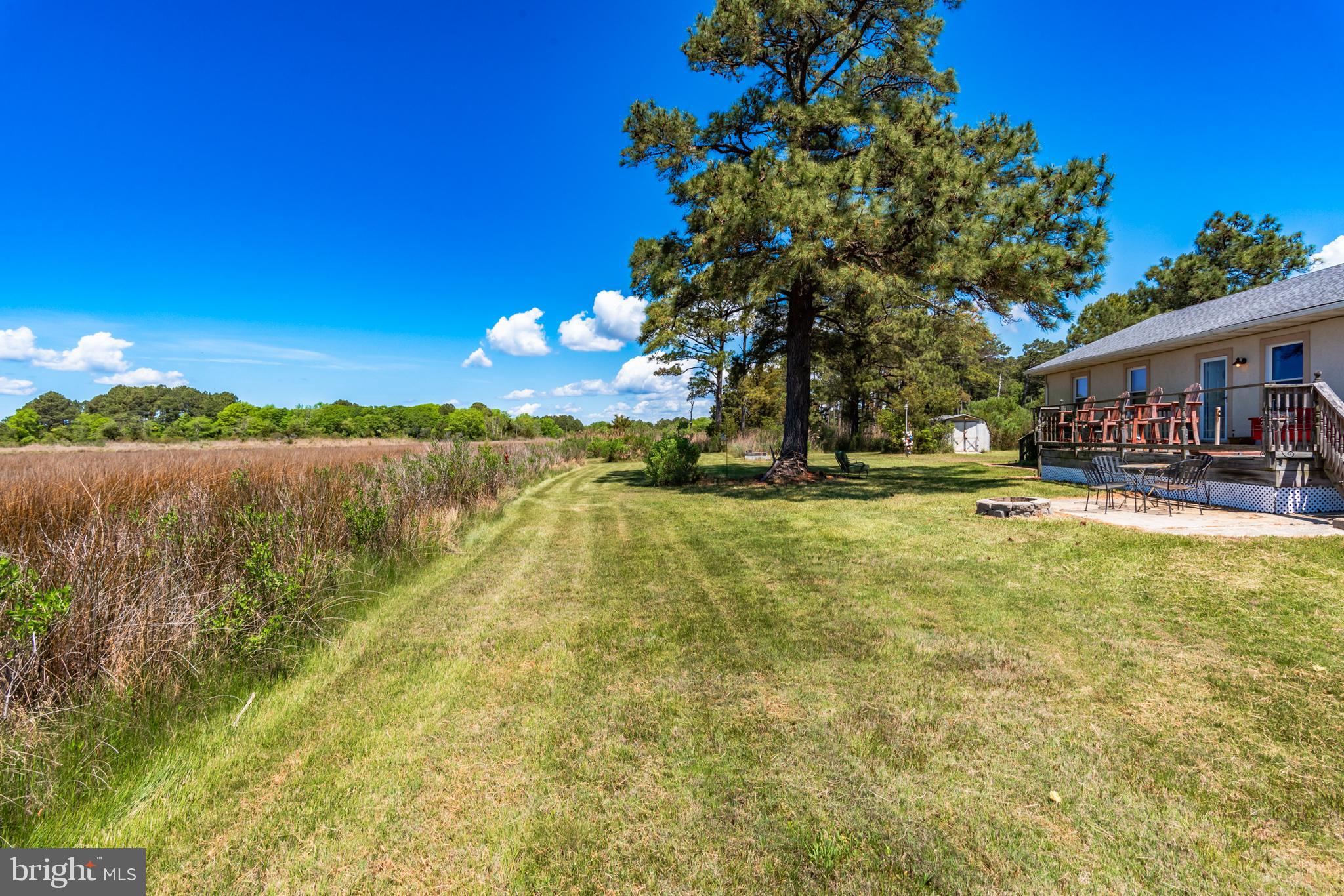 23212 Haines Point Road Chance, MD 21821 - Photo 48 of 57 Front yard