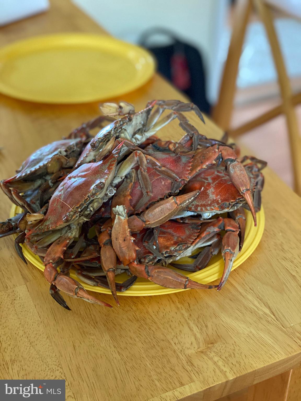 23212 Haines Point Road Chance, MD 21821 - Photo 52 of 57 Local Crabs