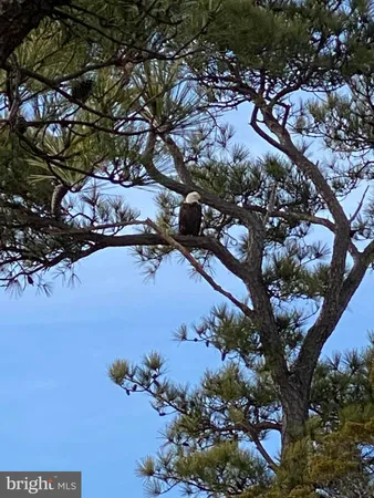 $249,000 | 23212 Haines Point Road, Chance, MD 21821