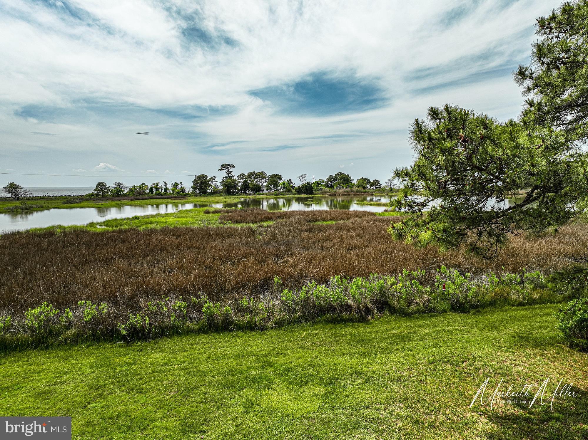 23212 Haines Point Road Chance, MD 21821 - Photo 55 of 57 Haines Pond