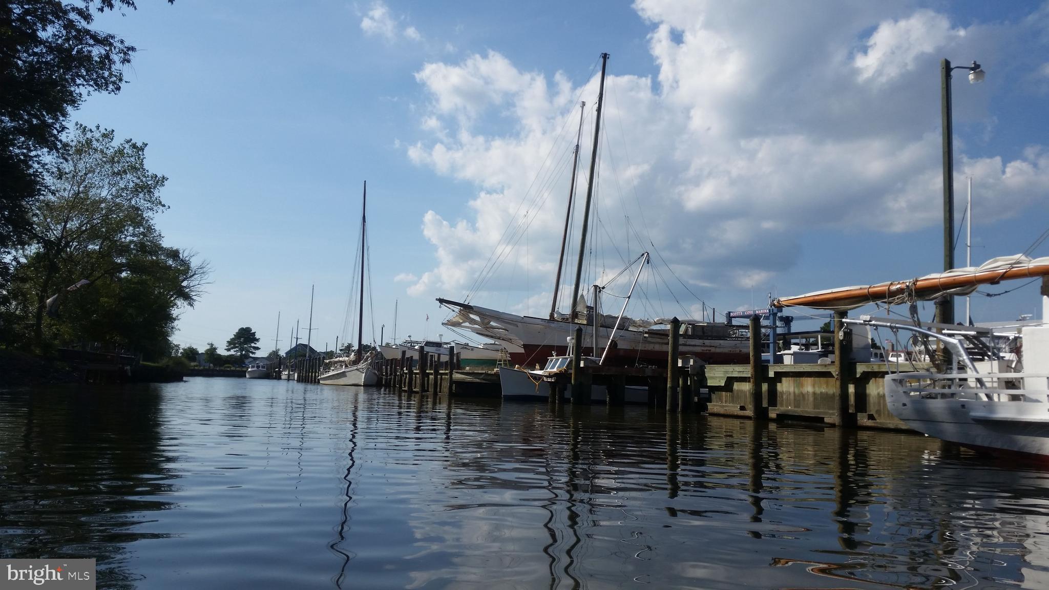 23212 Haines Point Road Chance, MD 21821 - Photo 57 of 57 Marina